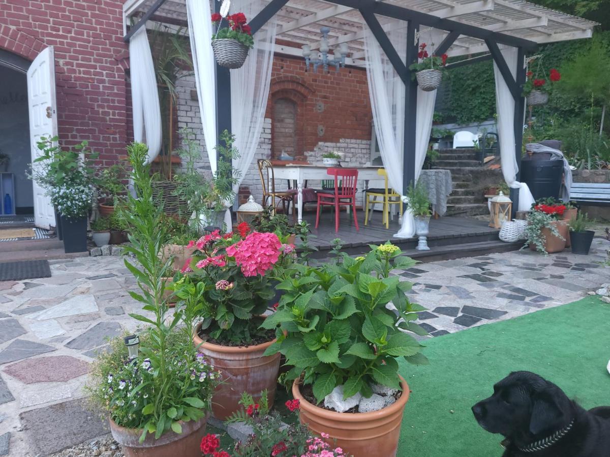 Krzywa Apartamenty Lidzbark Warmiński Exterior foto
